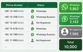 Whatsapp Numbers Verification